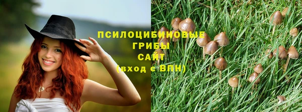СК Абинск