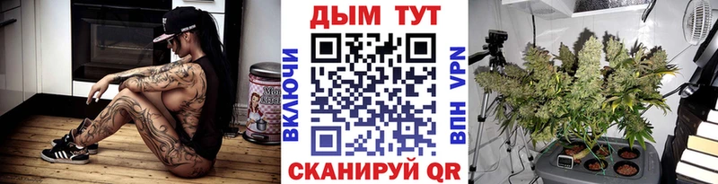 Бошки марихуана MAZAR  Тотьма 